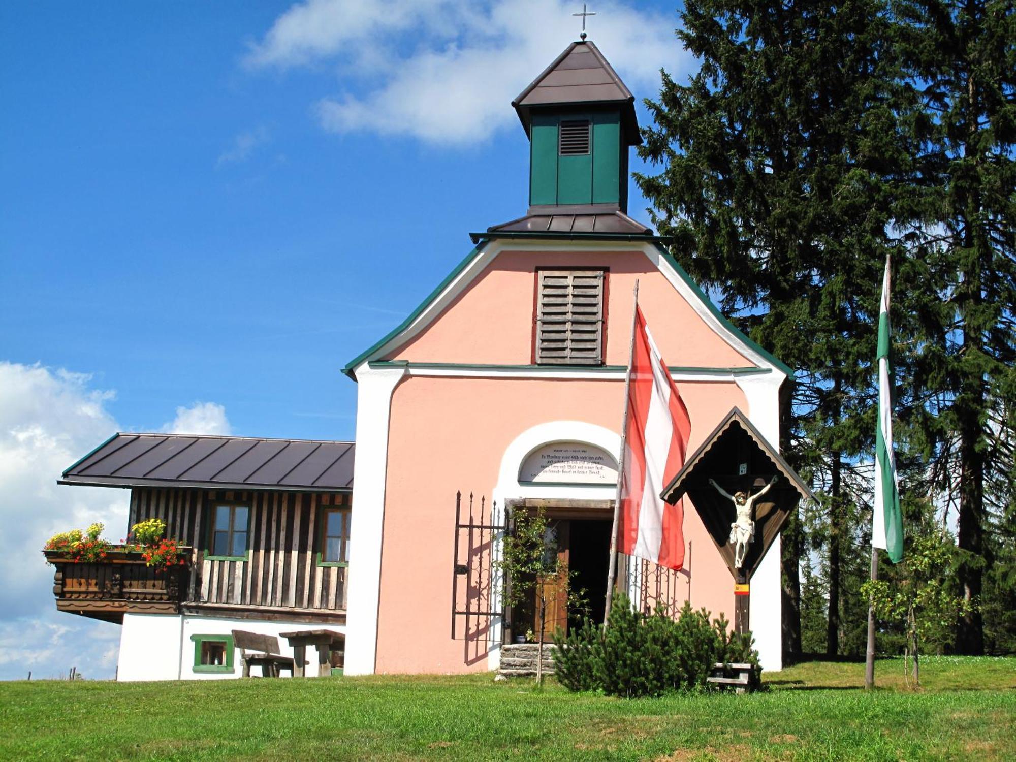Wildwiesenhof Miesenbach  Exterior foto