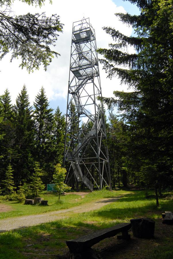 Wildwiesenhof Miesenbach  Exterior foto